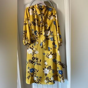 Bright NWT Ann Taylor size 14 dress. Beautiful color.